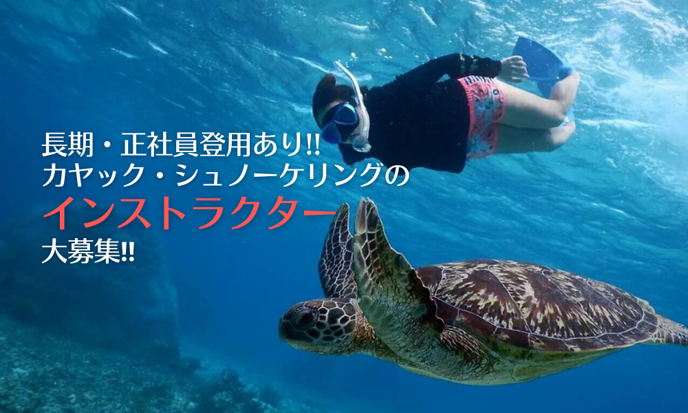 SEA ENJOY