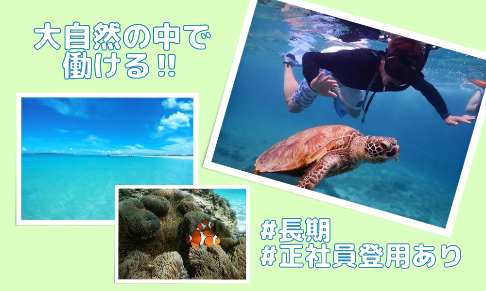 SEA ENJOY